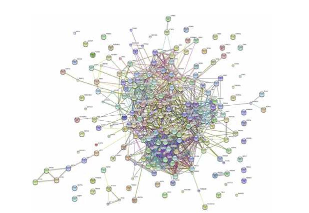 그림 2-67. p53과 CDC73을 포함한 FLJ22374 AS1과 상호작용하는 protein들의 interaction map.