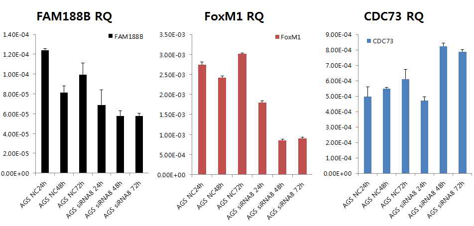 그림 2-73. FLJ22374 siRNA8의 treatment에 의해 발현에 영향을 받는 FoxM1과 CDC73의 mRNA level을 qRT-PCR로 측정한 결과
