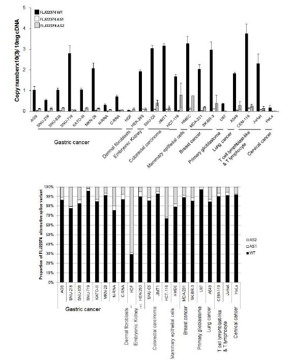 그림 2-75. 각종 cancer cell line에서 FLJ22374 alternative splice variant의 발현양 및 상대적 비율의 비교결과