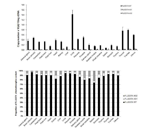 그림 2-76. 정상 human tissue에서 FLJ22374의 발현양 및 alternative splice variant의 상대적인 비율의 비교결과