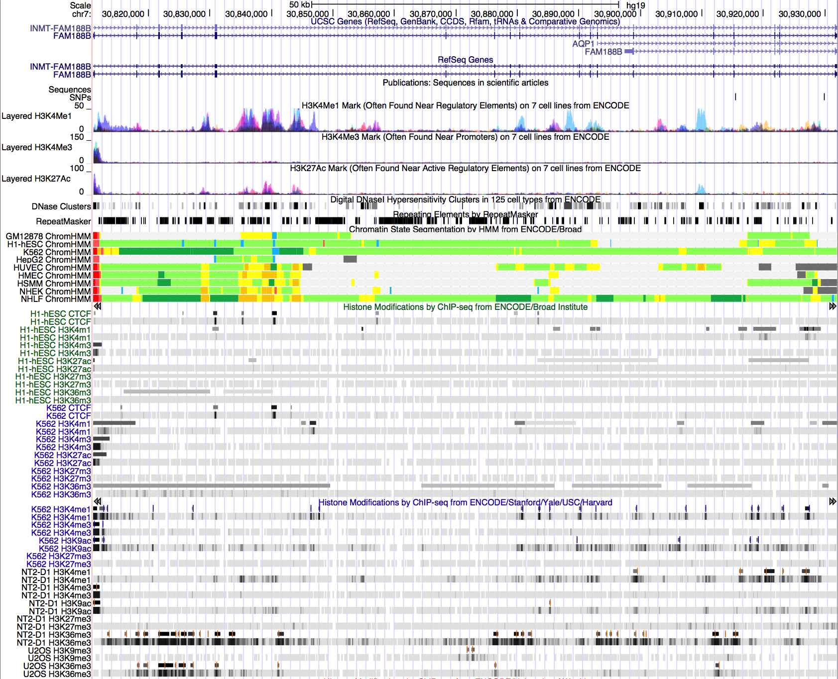 그림 2-80. FAM188B 유전자 주위의 염색체 methylation 양상