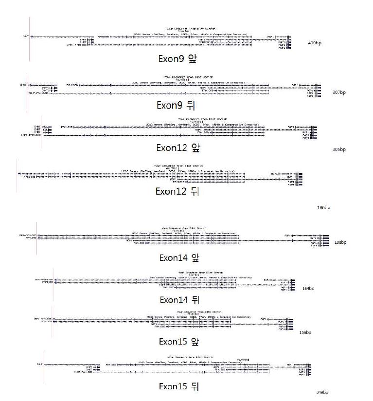 그림 2-83. H3K36me3 antibody로 IP된 chromatin fragment의 sequencing결과