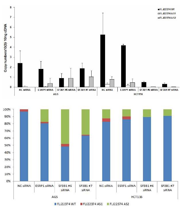 그림 2-86. Putative mRNA splicing regulator인 ESRP1과 SF3B1을 knockdown하였을 때 나타 나는 FLJ22374의 alternative splice variant의 발현양 변화를 absolute quantification한 결과(상)와 상대적인 isoform들의 비율을 비교한 결과 (하).