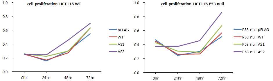 그림 2-89. FLJ22374 WT, AS1 및 AS2 isoform에 따른 HCT-116 p53 WT 및 null cell line에서 의 cell proliferation의 변화