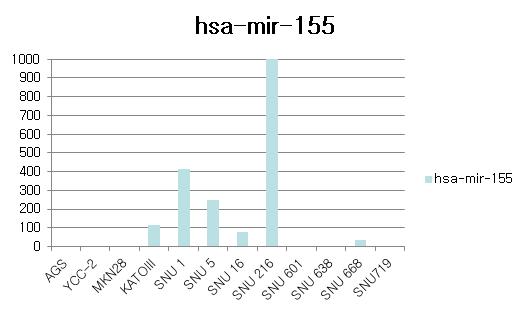Figure4.위암세포주의 baseline miR-155에 대한 발현.