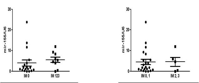 Figure15. 장상피화생에 따른 miR-155확인