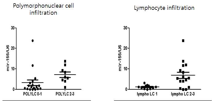 Figure16. 염증정도에 따른 miR-155확인