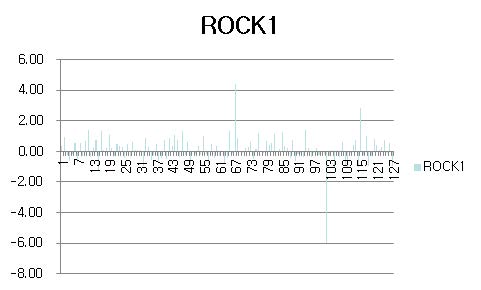 Figure22. 위암환자 160명 조직의 정상조직과 위암조직에서 ROCK1 발현확인