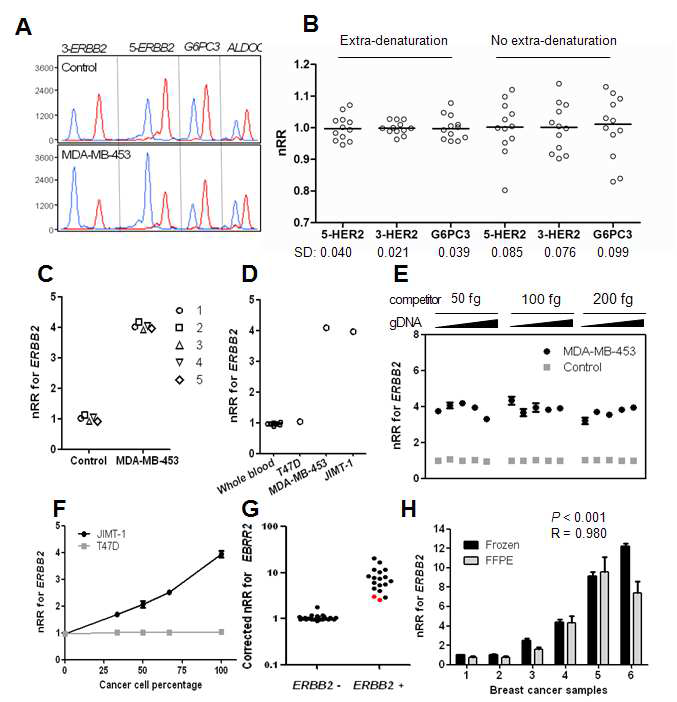 그림 3. Measurement of ERBB2 gene copy number by mrcPCR