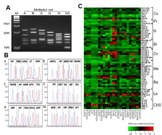 그림 4. Measurements of copy numbers for 24 drug-target genes by mrcPCR in NCI-60 cells.