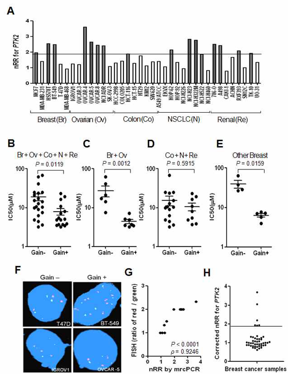 그림 7. Correlation between PTK2 copy gain and sensitivity to FAK inhibitor 14