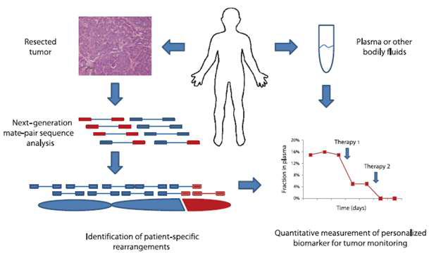 그림 2. Schematic of PARE (personalized analysis of rearranged ends) approach