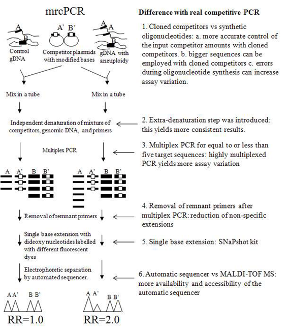 그림 1. mrcPCR 원리