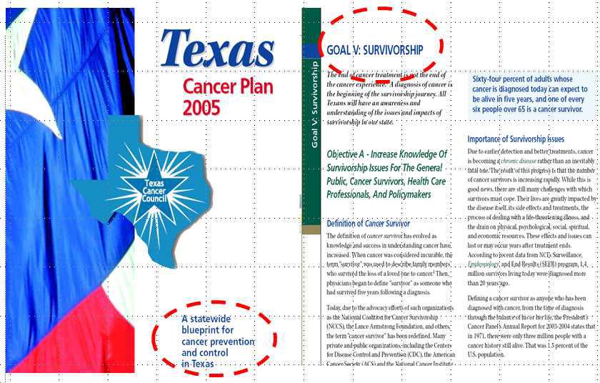 Texas 주 Cancer Plan 2005