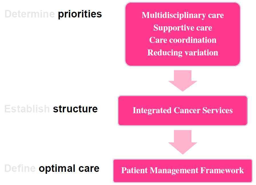 암 치료의 질적인 측면에서의 체계적 접근
