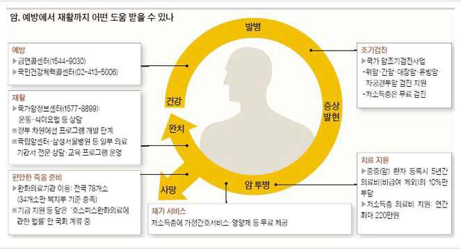 중앙선데이 2009년 2월 15일 기사