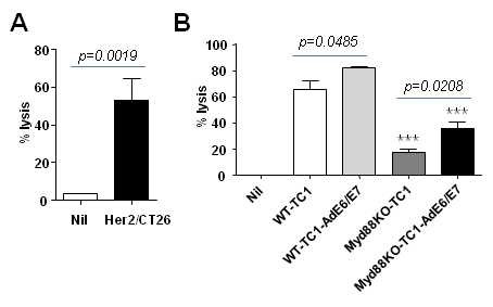 Figure 2. Ag expressed on tumor induced the generation of Ag-specific CTL responses.