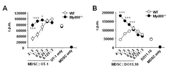 Figure 6. MDSCs from Myd88-/- mice were not suppressive against T cells