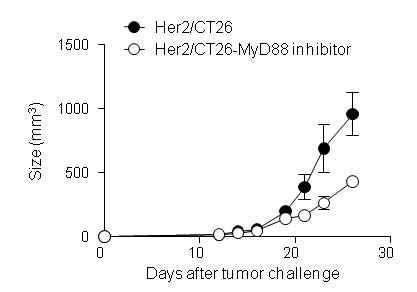 Figure 10. Antitumor effect of pharmacological inhibitor of Myd88 homodimerization