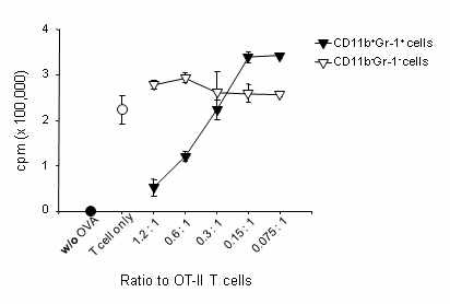 Figure 20. Immunosuppressive activity of CD11b+Gr-1+ myeloid cells against antigen-specific proliferation of CD4+ T cells in vitro