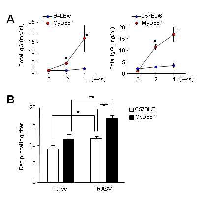 Figure 21. Elevation of serum IgG levels in RASV-administered MyD88-/- mice.