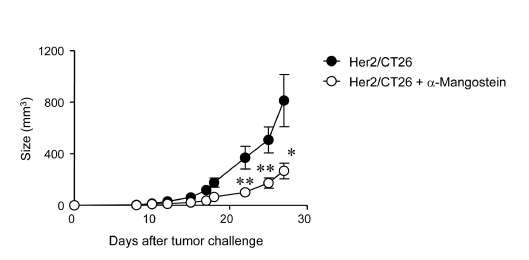 Figure 22. Administration of α-Mangostin induced antitumor effect.