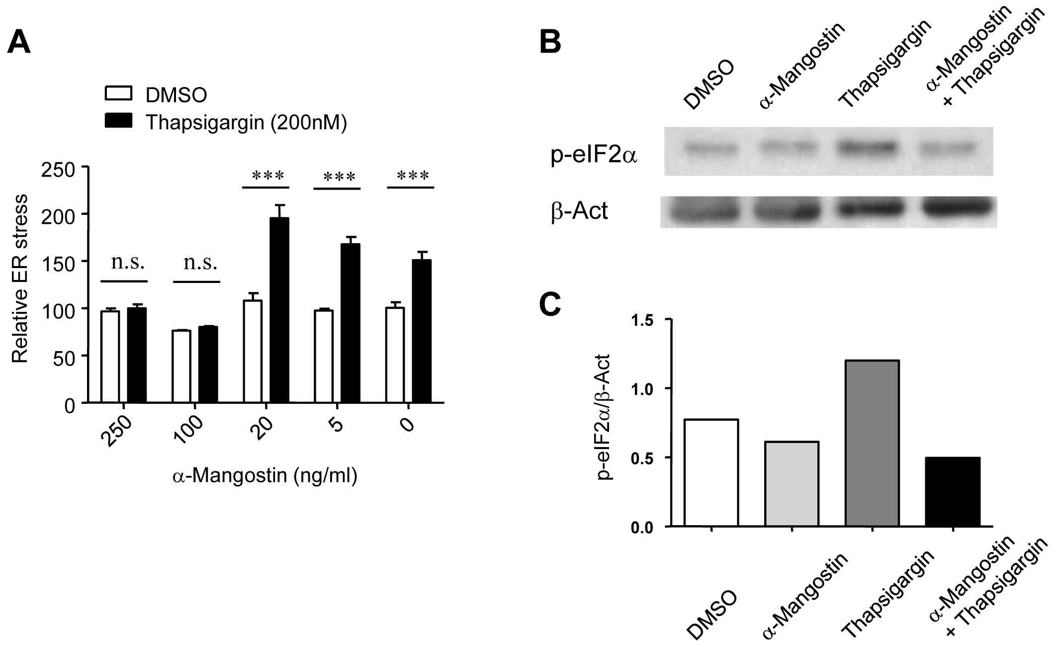 Figure 24. ER stress was significantly reduced by α-Mangostin treatment