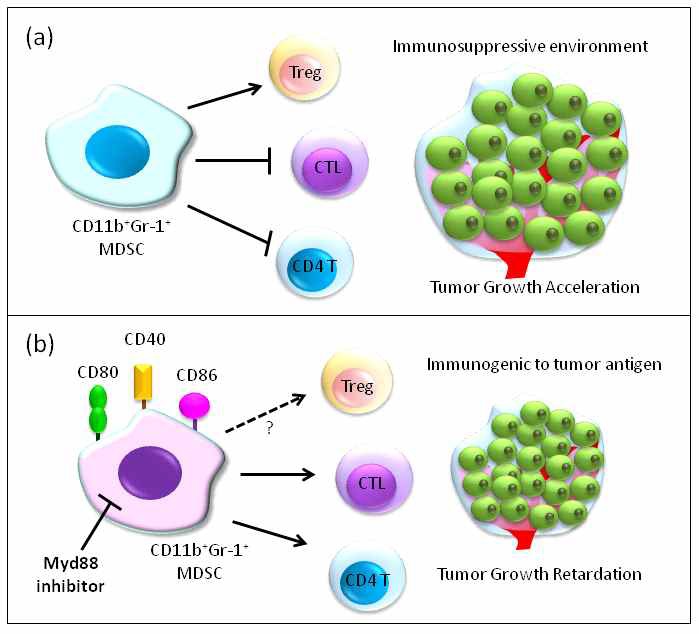 Figure 26. Schematic overview of immunosuppressive function of MDSCs