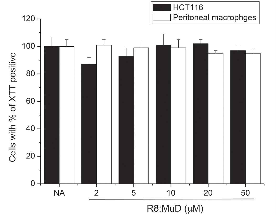 그림 10. R8:MuD 펩타이드를 HCT116, peritoneal macrophage에 표시한 농도로 24시간 처리하였다. 세포 생존 율은 XTT방법으로 조사하였 다