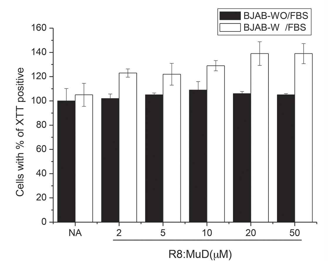 그림 11. R8:MuD 펩타이드를 BJAB cell에 표시한 농도로 24시간 처리하였다. 세포 생존율은 XTT방법으로 조사하였다