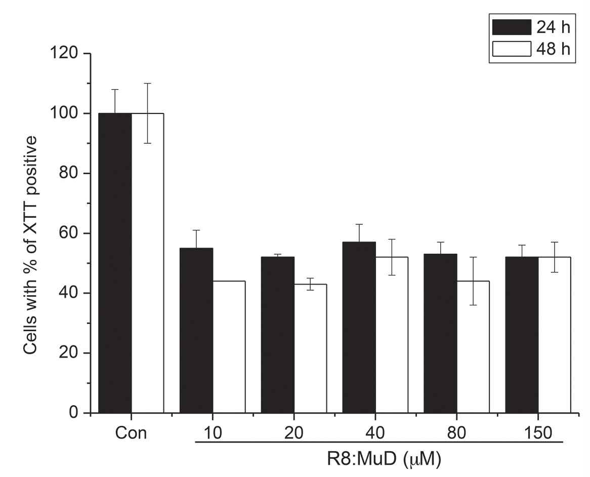 그림 8. R8:MuD 펩타이드를 Jurkat cell에 표시한 농도로 24시간 처리하였다. 세포 생존 율은 XTT방법으로 조사하였 다.
