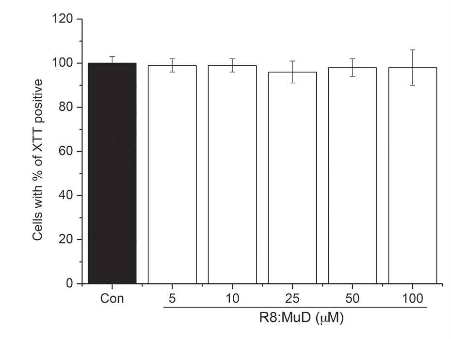 그림 9. R8:MuD 펩타이드를 HeLa cell에 표시한 농도로 24 시간 처리하였다. 세포 생존율 은 XTT방법으로 조사하였다