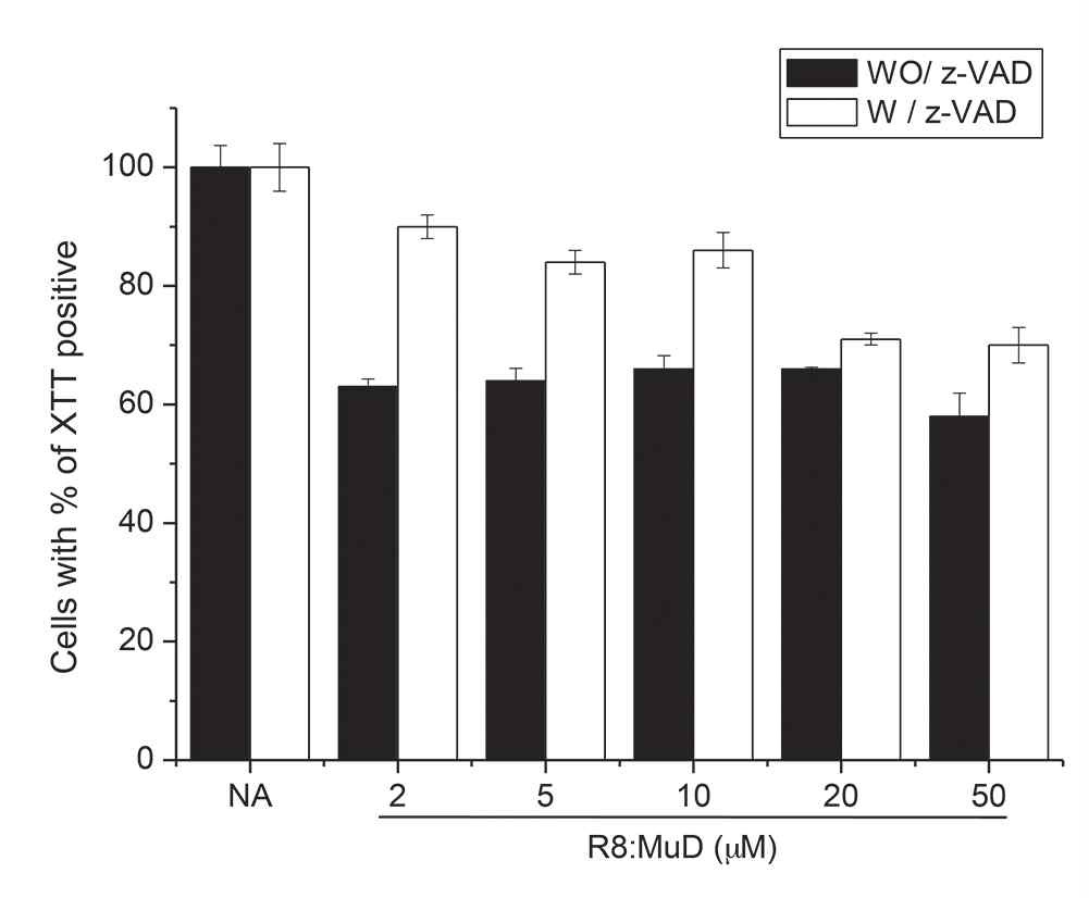 그림 12. Caspase 억제제인 zVAD를 처리한 혹은 처리하지 않는 Jurkat cell에 R8:MuD 펩타이드 를 표시한 농도로 24시간 처리하였다. 세포 생존율은 XTT방법으로 조사하였다