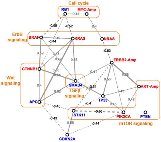 그림 2. Correlation network of mutational genotypes