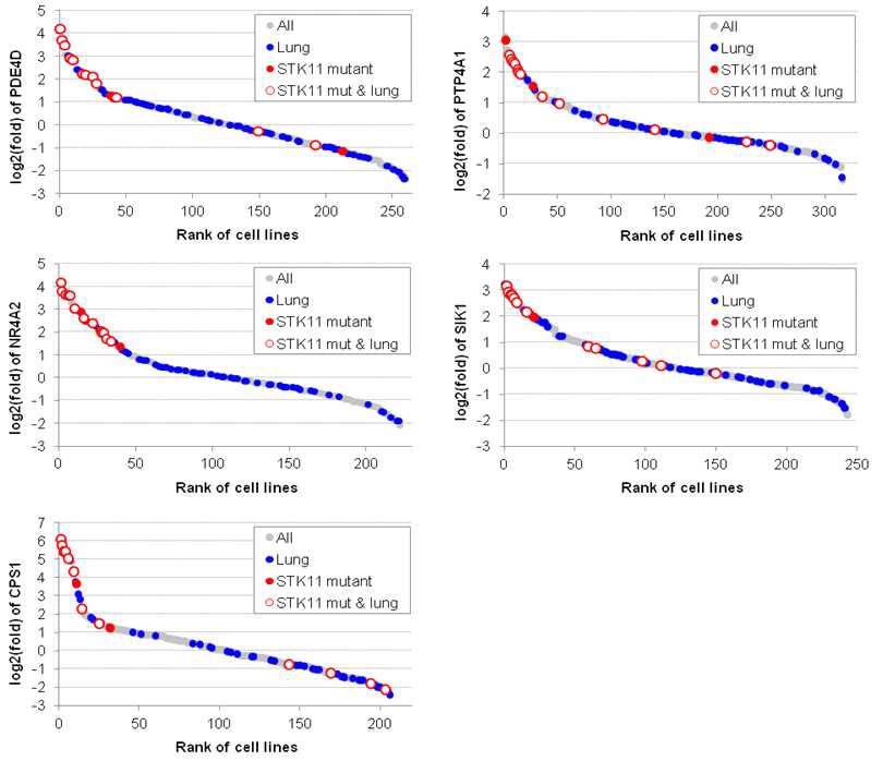 그림 8. Cell line-based expression profile of STK11 gene signatures