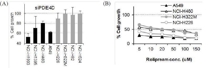 그림 9. STK11-dependent cell growth regulation by PDE4D inhibition