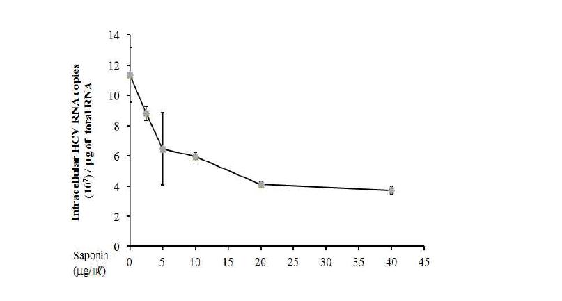 농도의존적인 사포닌의 처리를 통한 C형 간염바이러스의 복제 감소.