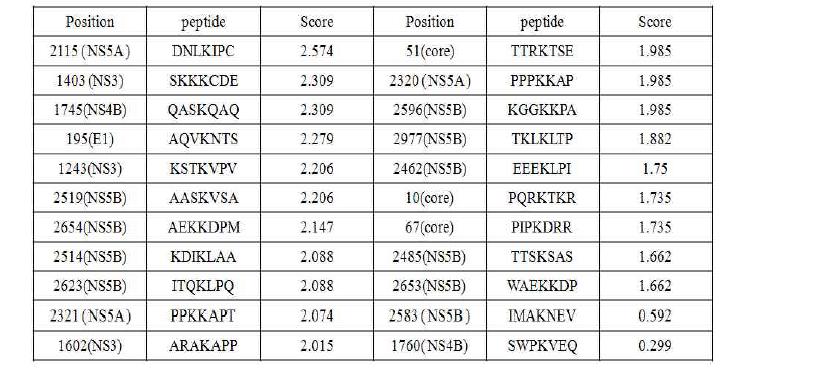 HCV genotype 2a의 스모화 예상 부위