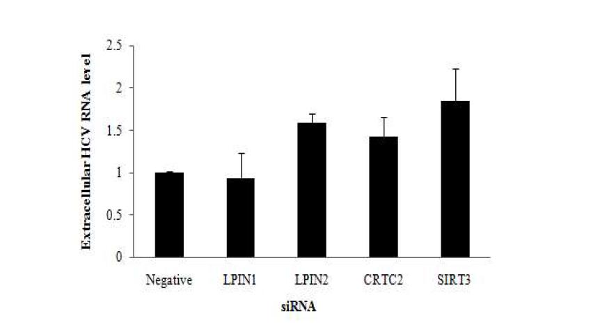 지질대사유전자 LPIN1, LPIN2, CRTC2, SIRT3의 knock down에 의한C형 간염바이러스의 방출 영향.