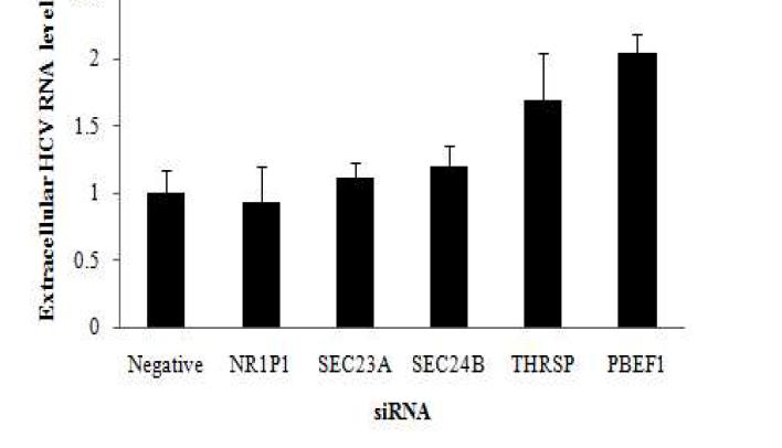 NR1P1, SEC23A, SEC24B, TRSHP, PBEF1 유전자의 knock down에 의한 C형 간염바이러스의 방출효과.