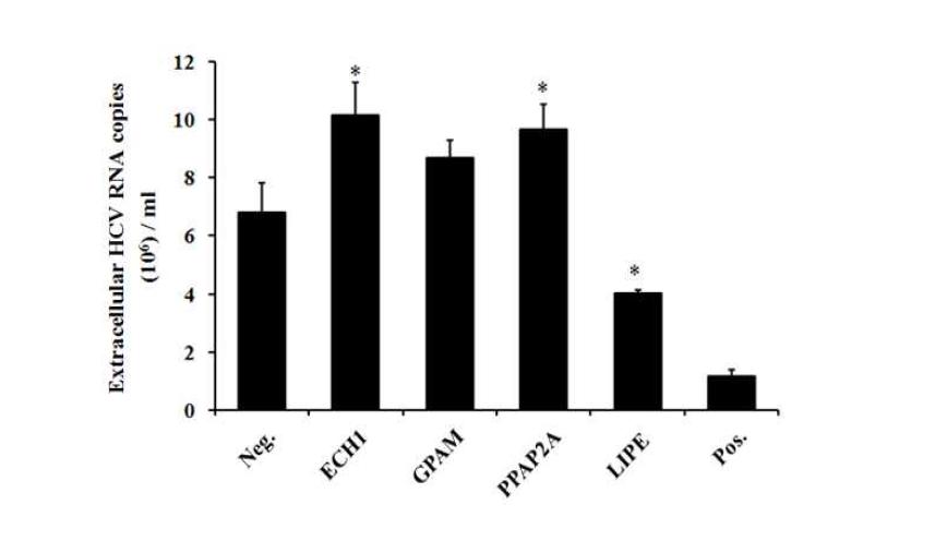 지질대사유전자 ECH1, GPAM, PPAP2A, LIPE의 knockdown을 통한 C형간염바이러스의 방출 효과.