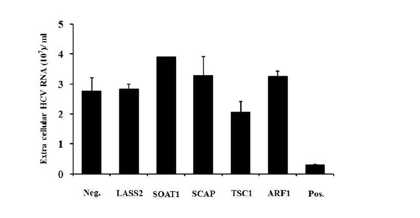 지질대사유전자 LASS2, SOAT1, SCAP, TSC1, ARF1의 knockdown을 통한 C형 간염바이러스의 방출 효과.