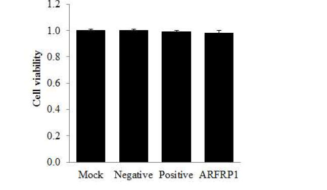 Subgenomic replicon 세포에서 ARFRP1 siRNA의 도입을 통한 cell viability의 측정.