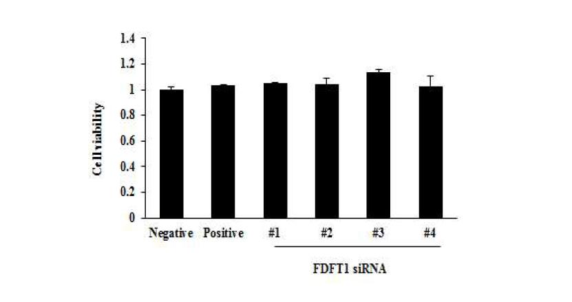 FDFT1 siRNA의 도입을 통한 cell viability 분석.