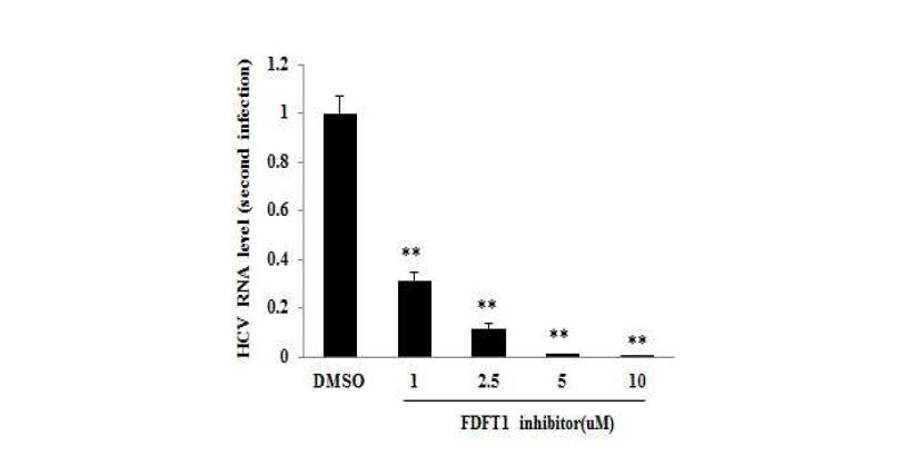 FDFT1 저해제의 처리를 통한 C형간염바이러스의 방출감소.