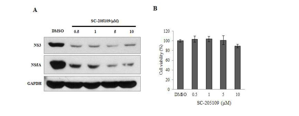 Subgenomic replicon 에서의 SCD1의 효소활성화에 의한 C형간염바이러스의 복제 조절 효과