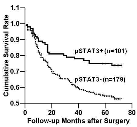 그림 19. STAT3의 발현에 따른 예후의 차이