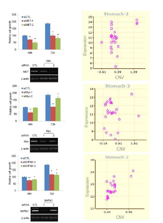 그림 15. A. MET B. MYC, C. SHFM1