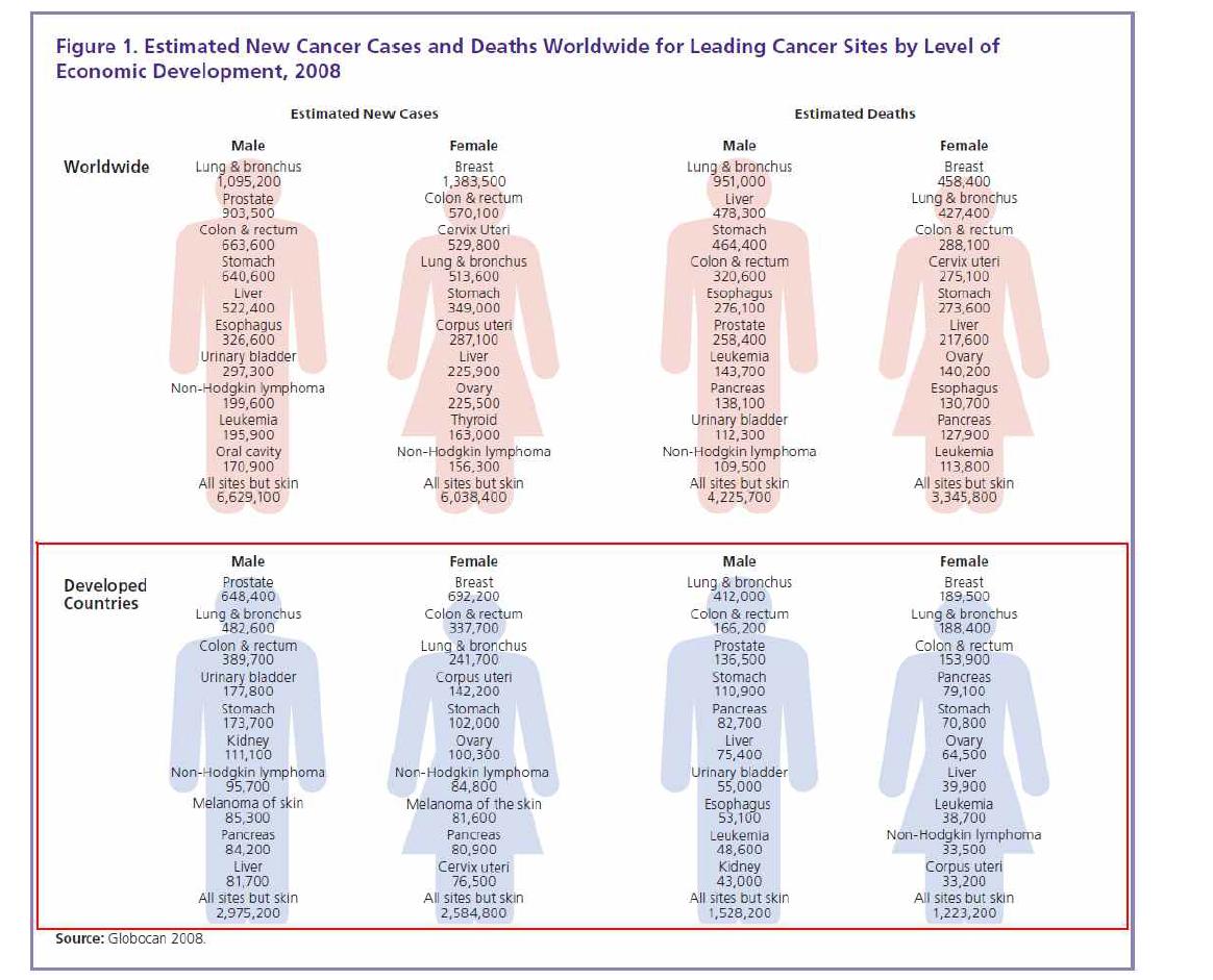 암종별 암발생 및 사망 추정