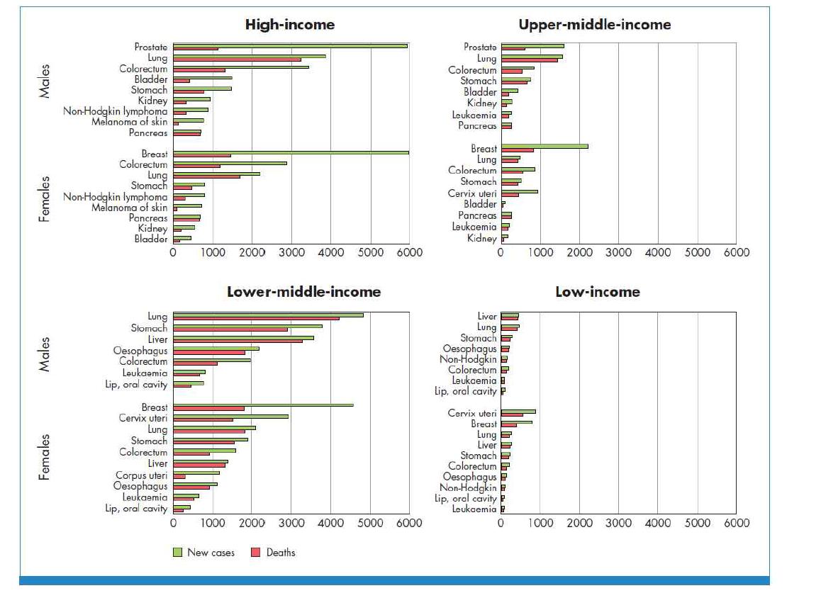 World Bank income group별 암발생 및 암사망